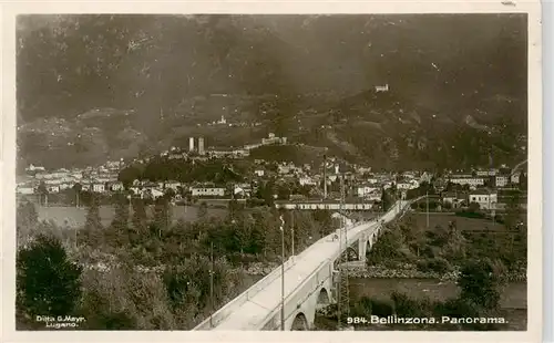 AK / Ansichtskarte  Bellinzona_TI Panorama