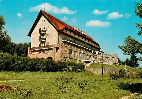 AK / Ansichtskarte 73919012 Predeal_Romania Hotel Rozmann