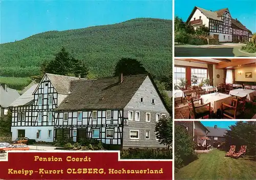 AK / Ansichtskarte  Olsberg_Sauerland Pension Coerdt Gastraum Liegewiese