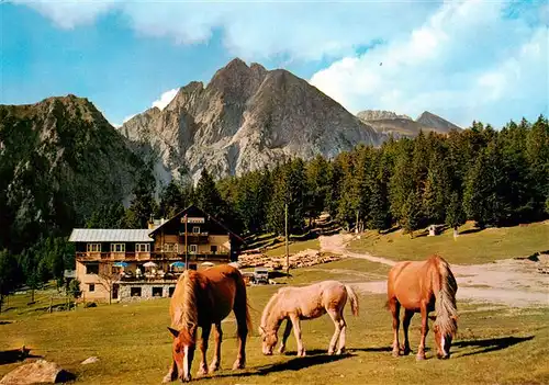 AK / Ansichtskarte  Hafling_Avelengo-Falzeben_IT Gasthof Alpenrose mit Ifinger und Haflinger Pferden