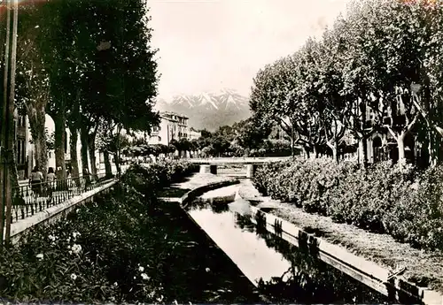 AK / Ansichtskarte  Perpignan Les Quais fleuris de la Basse et au fond le Canigou