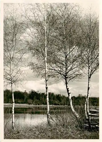 AK / Ansichtskarte  Altenrhein_SG Seepartie