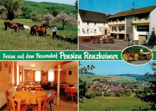 AK / Ansichtskarte  Frohnhausen_Gladenbach Pferdekoppel Pension Ronzheimer Gaststube Pferdekutsche Panorama