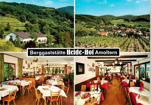 AK / Ansichtskarte  Amoltern Weingut Berggaststaette Heide Hof Panorama Gastraeume