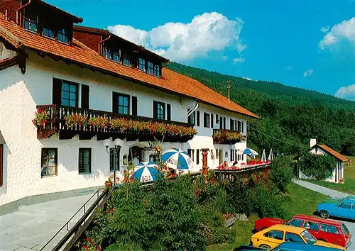 AK / Ansichtskarte  Bernried_Niederbayern Wild Berghof Buchet