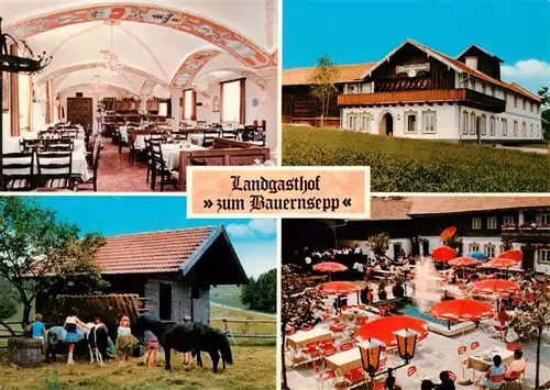 AK / Ansichtskarte 73919601 Kiefering Landgasthof zum Bauernsepp Gastraum Freiterrasse Ponyreiten