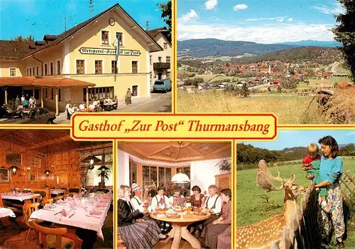 AK / Ansichtskarte  Thurmansbang Gasthof Zur Post Gastraeume Panorama Damhirsch