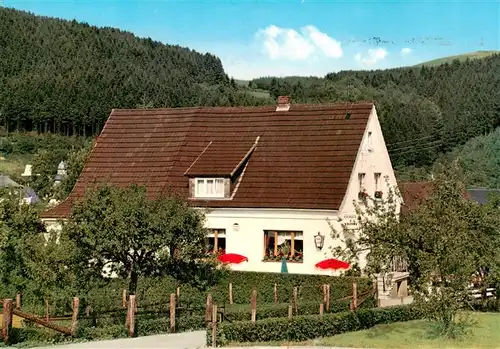 AK / Ansichtskarte  Liesen_Hallenberg_Hochsauerland Pension Cafe Dohle