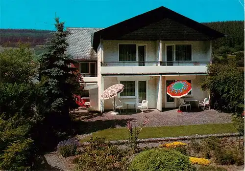 AK / Ansichtskarte  Olsberg_Sauerland Pension am Stein