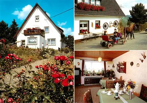 AK / Ansichtskarte  Braunshausen_Sauerland Pension Hof am Wald Gaststube Ponykutsche