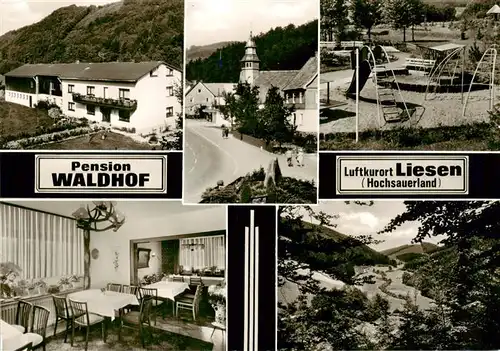 AK / Ansichtskarte  Liesen_Hallenberg_Hochsauerland Pension Waldhof Gaststube Spielplatz Panorama Ortspartie