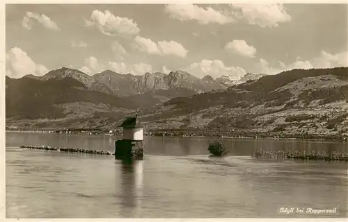 AK / Ansichtskarte  Rapperswil_BE Panorama