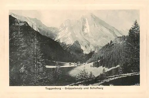 AK / Ansichtskarte  Toggenburg_SG Graeppelenalp und Schafberg