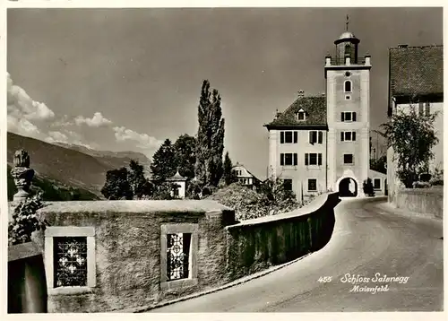 AK / Ansichtskarte  Maienfeld_GR Schloss Salenegg