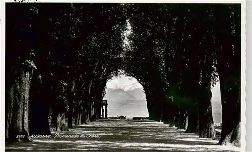 AK / Ansichtskarte  Aubonne__VD Promenade du Chene