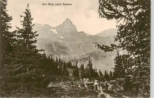 AK / Ansichtskarte  Flums__SG Am Weg nach Seeben