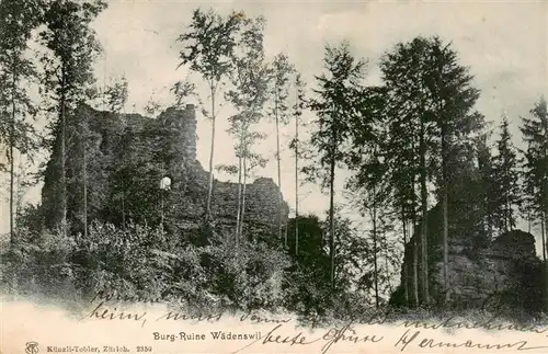 AK / Ansichtskarte  Waedenswil_Waedensweil_ZH Burg Ruine Waedenswil
