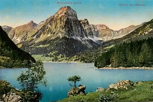 AK / Ansichtskarte  Naefels_GL Panorama mit Bruennelistock