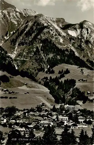 AK / Ansichtskarte  Chateau-d_Oex Panorama