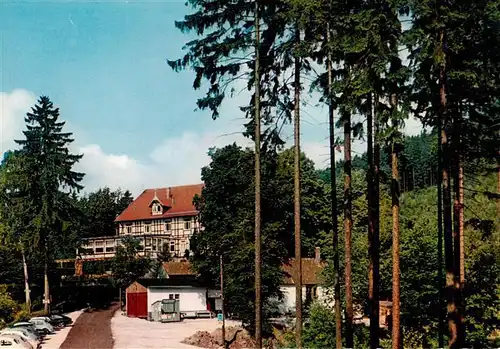 AK / Ansichtskarte  Bad_Sachsa_Harz Berghotel zum Katzenstein