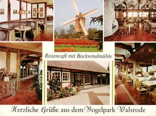 AK / Ansichtskarte 73920008 Walsrode_Lueneburger_Heide Rosencafe mit Bockwindmuehle Gastraeume