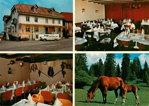 AK / Ansichtskarte  Saignelegier_Saingnelegier_JU Hotel Bellevue Gastraeume Stute mit Fohlen