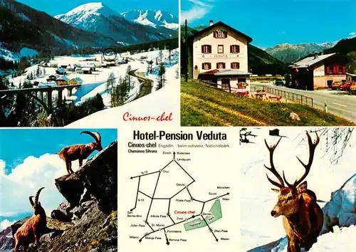AK / Ansichtskarte  Cinuos-chel_GR Hotel Pension Veduta Panorama Steinboecke