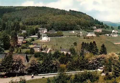 AK / Ansichtskarte  Willingen_Sauerland Strycktal