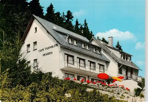 AK / Ansichtskarte  Schwalefeld Gasthaus Pension Fernblick