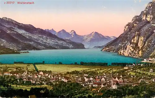 AK / Ansichtskarte  Wallenstadt_Walenstadt_SG Panorama Feldpost