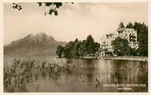 AK / Ansichtskarte  Hertenstein__LU Schloss Hotel Hertenstein mit Pilatus