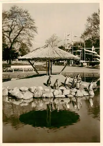 AK / Ansichtskarte  Gartenbauaustellung Hamburg 1953 Pinguinenteich Paolozzibrunnen