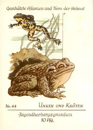 AK / Ansichtskarte 73920437 Froesche Unken Kroeten Nr.44