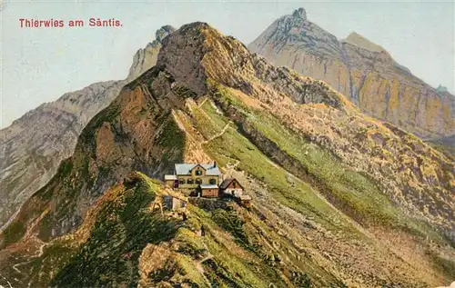 AK / Ansichtskarte  Thierwies_AR am Saentis Panorama