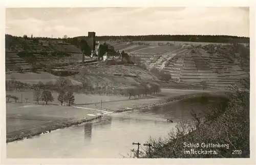 AK / Ansichtskarte Neckartal Schloss Guttenberg  Neckartal