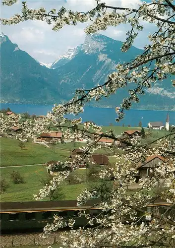 AK / Ansichtskarte Spiez_Thunersee_BE Panorama Spiez_Thunersee_BE