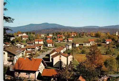 AK / Ansichtskarte Spiegelau Panorama Spiegelau