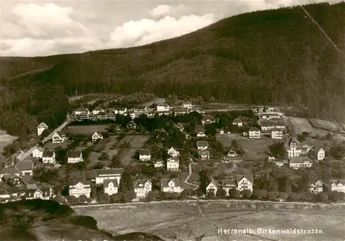 AK / Ansichtskarte  Herrenalb_Bad_Herrenalb Birkenwaldstrasse 