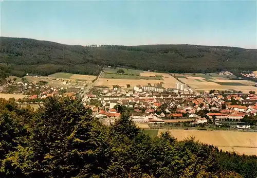 AK / Ansichtskarte  Springe_Deister Panorama