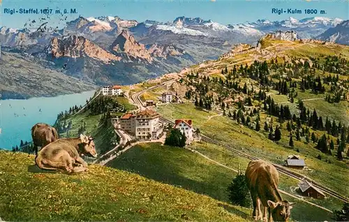 AK / Ansichtskarte  Rigi_Staffel Panorama Alpen