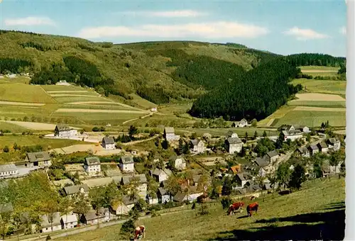 AK / Ansichtskarte  Schwalefeld Blick vom Luer