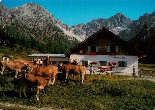 AK / Ansichtskarte  Telfs_Tirol_AT Eppzirler Alm Panorama