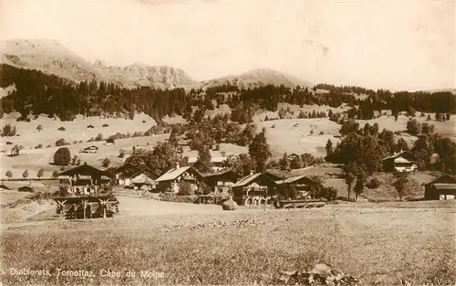 AK / Ansichtskarte  Diablerets_Diablerets_Les Cape du Moine