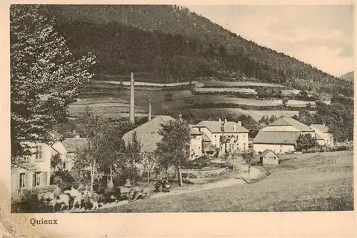 AK / Ansichtskarte  Quieux_Le_Saulcy_88_Vosges Panorama