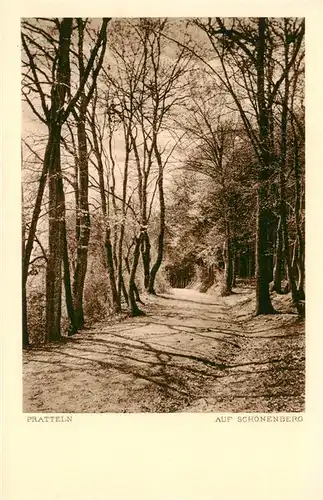 AK / Ansichtskarte  Pratteln_BL Auf Schoenenberg