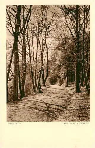 AK / Ansichtskarte  Pratteln_BL Auf Schoenenberg