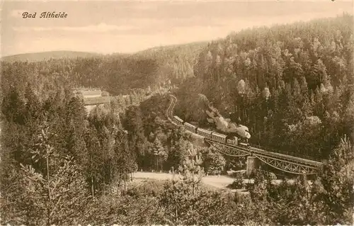 AK / Ansichtskarte  Bad_Altheide_Polanica-Zdrój_PL Panorama Eisenbahnbruecke