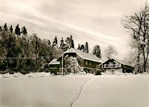 AK / Ansichtskarte  Rimbach_Bayrischer_Wald Forstdiensthuette und Restaurant Hohenbogen