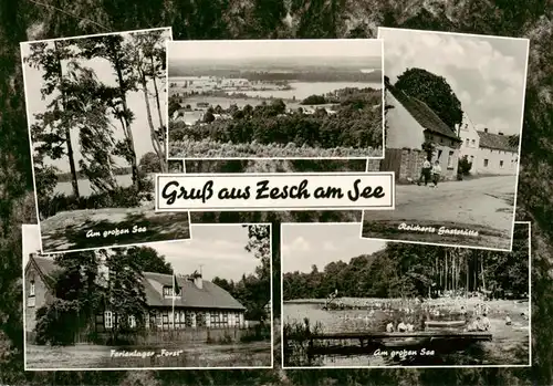 AK / Ansichtskarte 73922026 Zesch_Zossen Am grossen See Panorama Reicherts Gaststaette Ferienlager Forst Strandpartie
