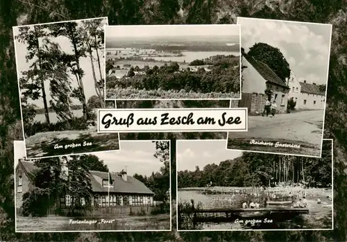 AK / Ansichtskarte  Zesch_Zossen Am grossen See Panorama Reicherts Gaststaette Ferienlager Forst Strandpartie